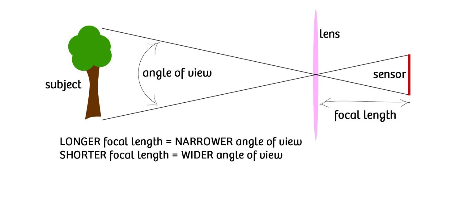 image-20240919111158448