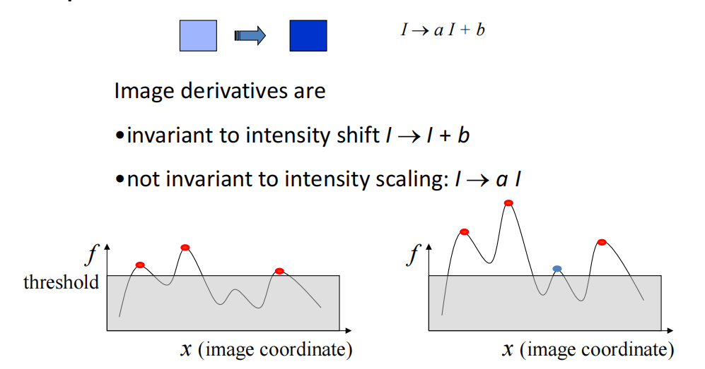 image-20241017105446132