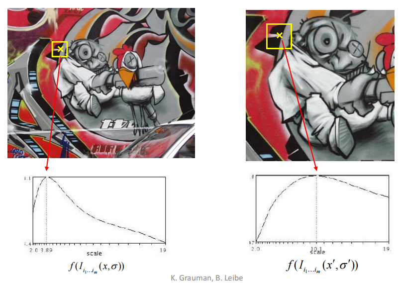 image-20241017110232702