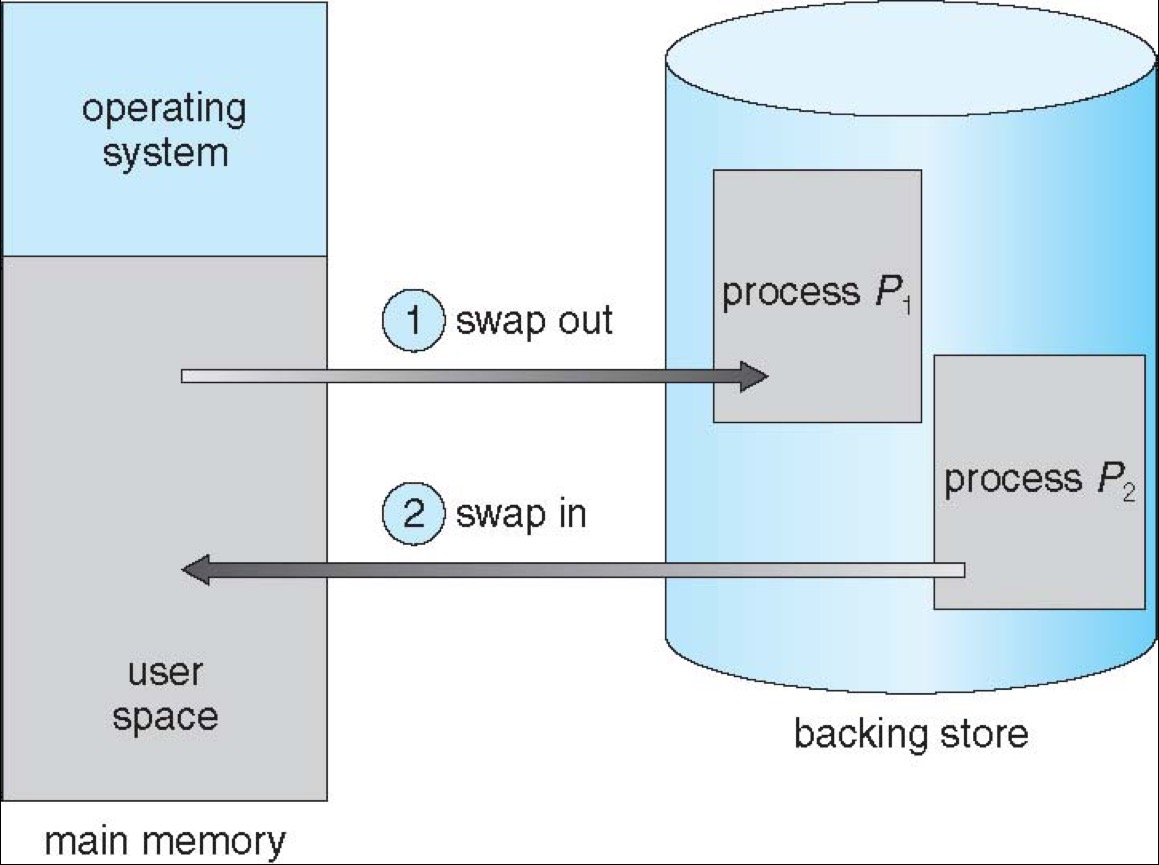 image-20241112144321441