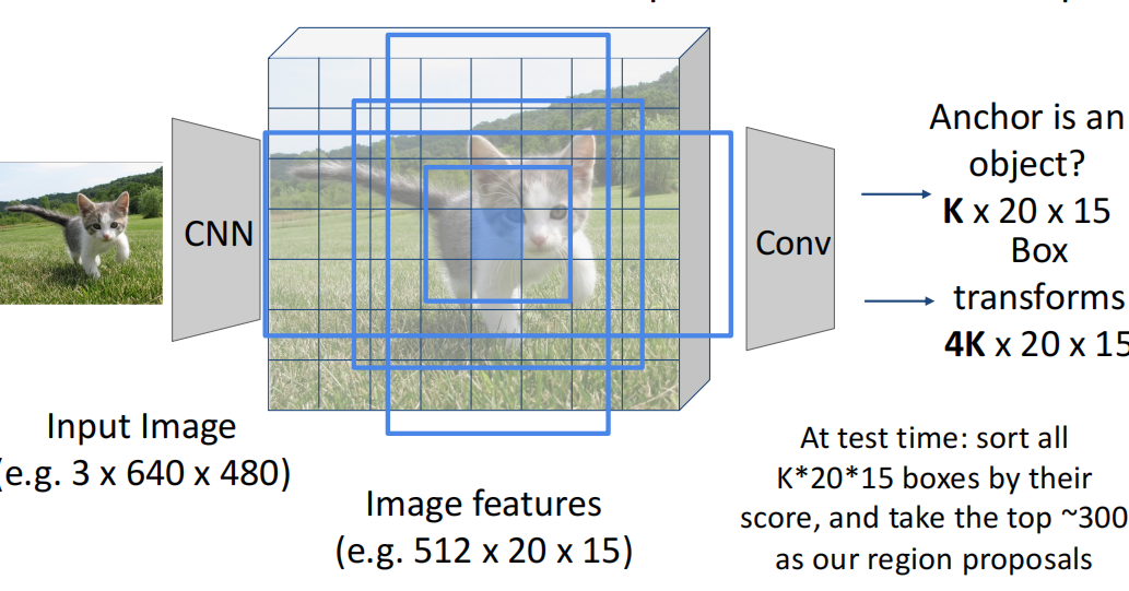 image-20241121104638351